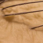 Yoğurtlu Patates Püresi Tarifi