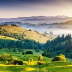 28 Black Enerji Icecegi Icerigi Ve Tuketim Onerileri 1713133212295