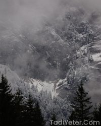 Evde Cikolata Sosu Yapimi Oktay Usta Oktay Ustanin Pratik Ve Lezzetli Cikolata Sosu Tarifi 1713482002318