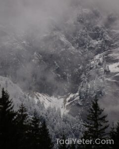 Evde Çikolata Sosu Yapımı Oktay Usta: Oktay Usta’nın Pratik ve Lezzetli Çikolata Sosu Tarifi