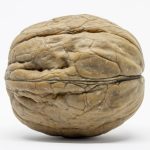 Hindistan Cevizi Unlu Pankek Hindistan Cevizi Lezzetiyle Tatlandirilmis Ev Yapimi Pankek Tarifi 1713482059772