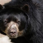 Mcdonalds Menu And Prices 1750704308108