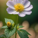 Smokey Bones Virginia Beach Menu With Prices 1750693303824