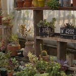 Wegmans Market Cafe Menu With Prices 1750691934530