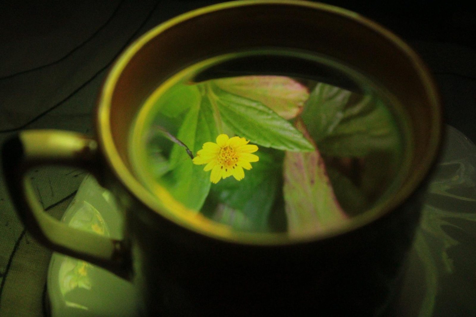 Uyku Getiren Bitki Çayları: Huzurlu Bir Uykuya Yardımcı Olan İçecekler