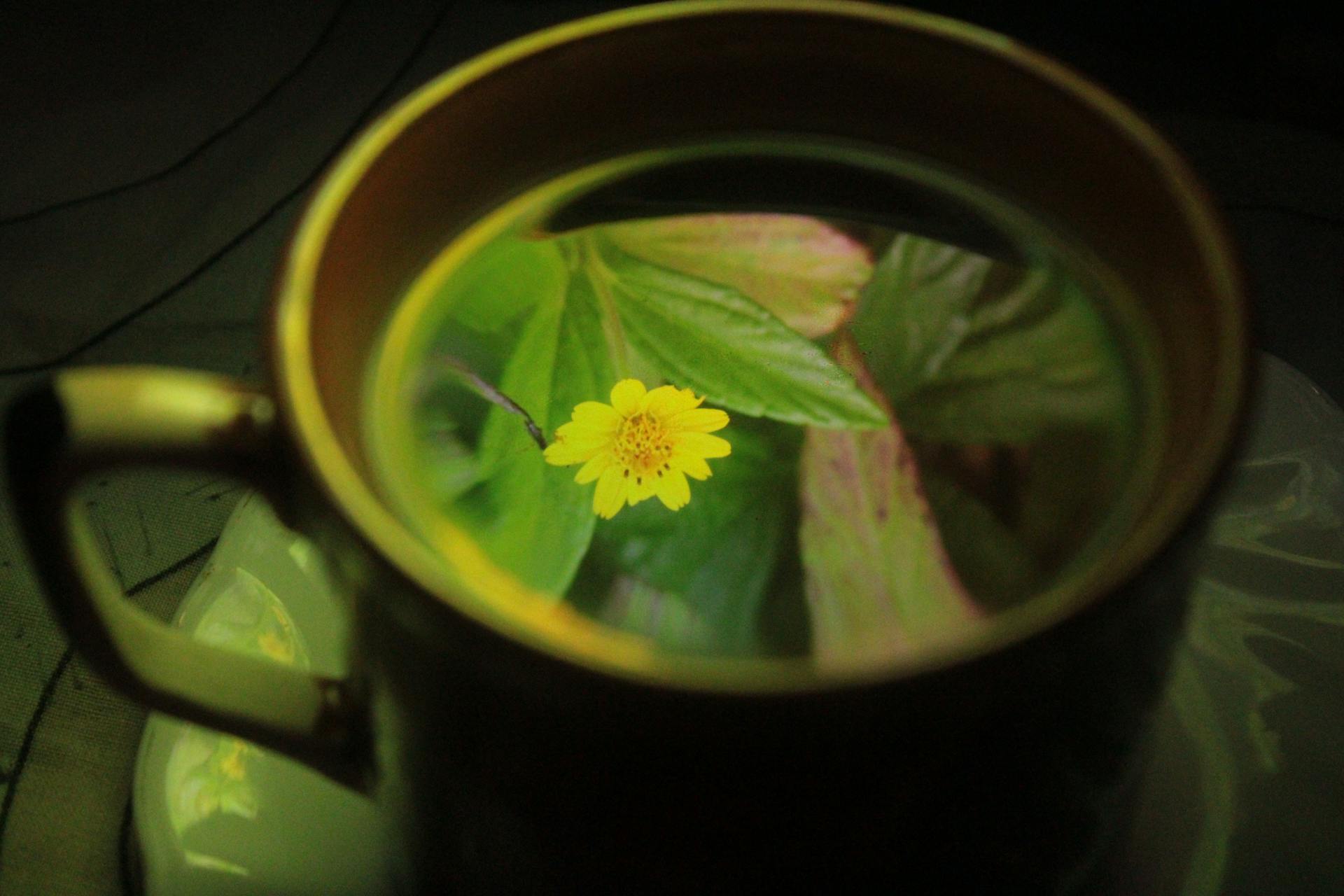 Uyku Getiren Bitki Çayları: Huzurlu Bir Uykuya Yardımcı Olan İçecekler