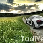 10 kilo una kaç yumurta kırılır