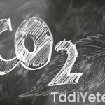 2 yaş bebek öğle yemeği tarifleri