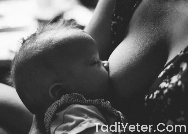 8 aylık bebeğe kıymalı tarifler 8 aylık bebeğe kıymalı tarifler