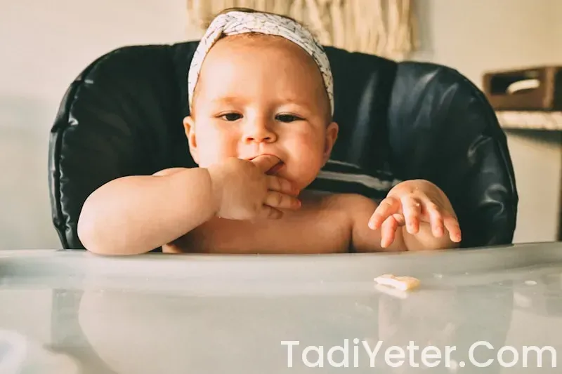 8 aylık bebek kıymalı yemekler 8 aylık bebek kıymalı yemekler