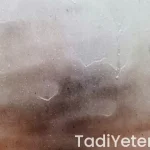 antrikot kaç dakikada pişer