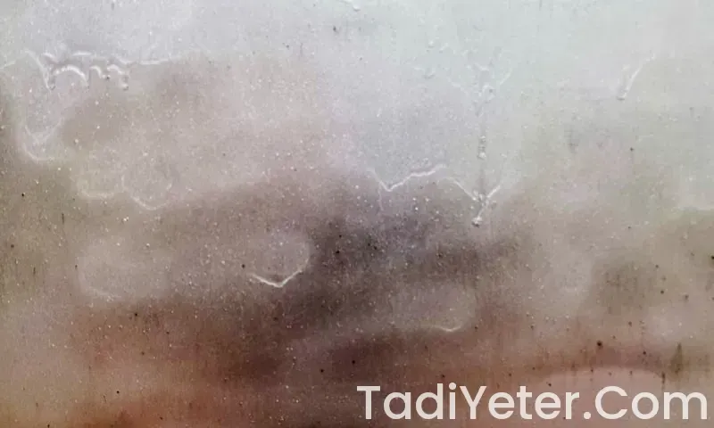 antrikot kaç dakikada pişer