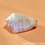 canan karatay yemek tarifleri
