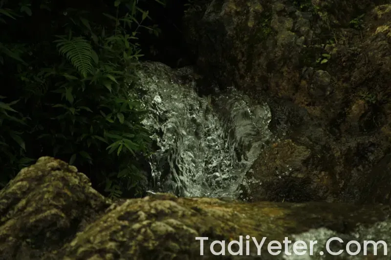 Damla maden suyu israil malı mı