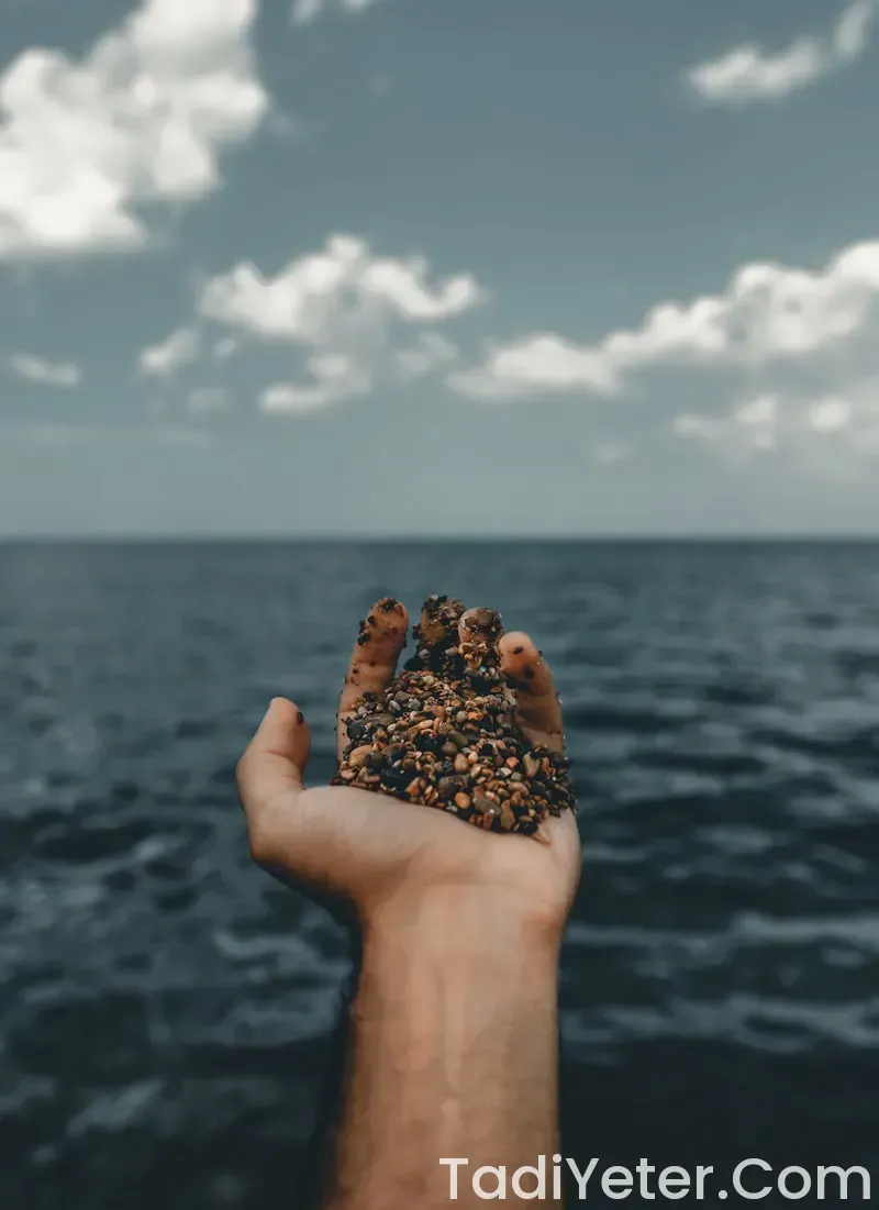 deniz börülcesi besin değeri