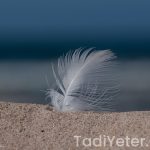 Destek Yemek 1756890306132