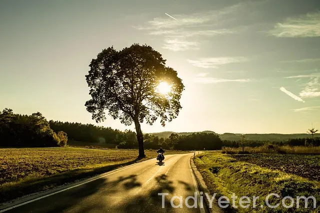 Ev yapımı çokokrem tarifi oktay usta Ev yapımı çokokrem tarifi oktay usta