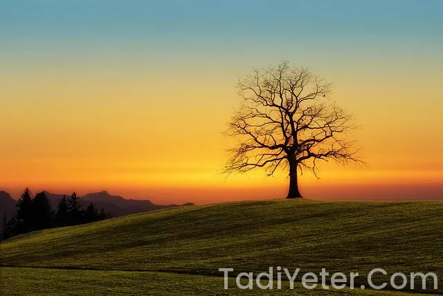 Ev yapımı çokokrem tarifi oktay usta Ev yapımı çokokrem tarifi oktay usta