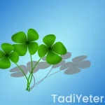 Ev yapımı kahvaltılık çikolata tarifi oktay usta