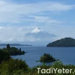 Evde sarelle yapımı oktay usta