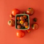 fırında sebzeli yemekler