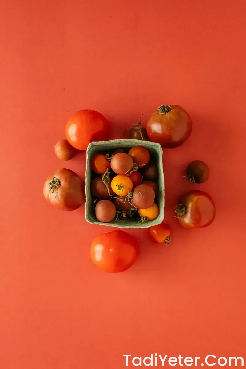 fırında sebzeli yemekler