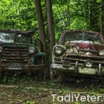 Gaz yapmayan yemek tarifleri