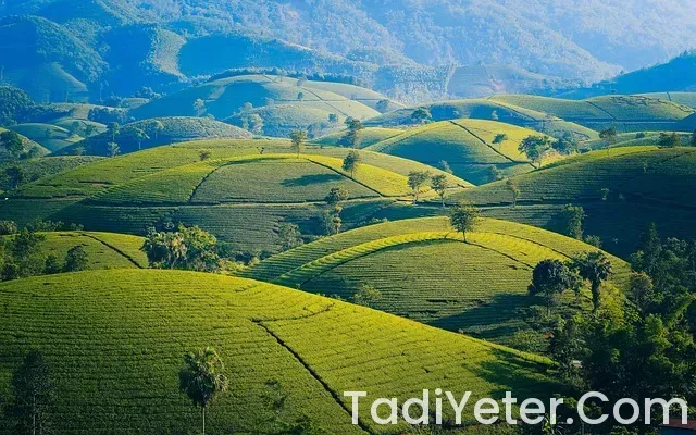 Getir Yemek İndirim Kodu 2025