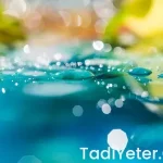 Hamileliği önleyen bitkiler