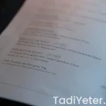 hardee's menu vegetarian