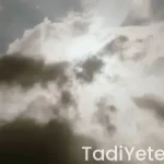 ibrahim saraçoğlu düşüğe neden olan bitkiler