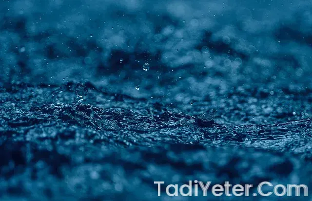 İrmikli şekerpare tarifi oktay usta