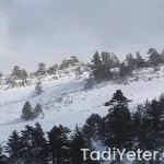 İslim kebabı tarifi oktay usta