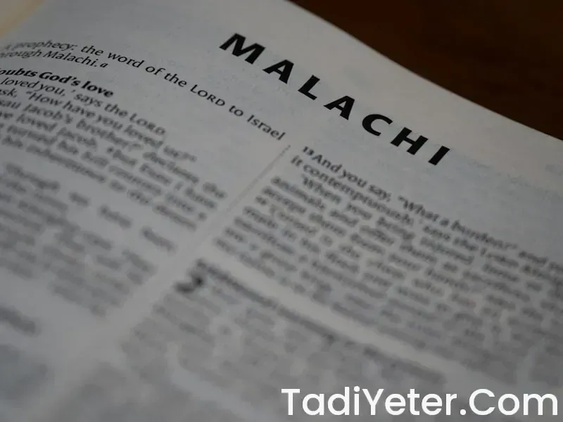 İsrailin ürettigi markalar