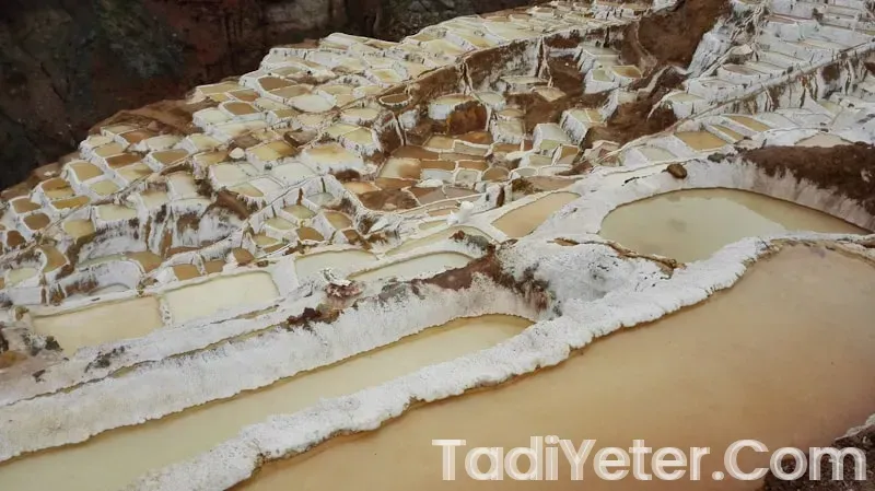 kabaklı tuzlu kek tarifi