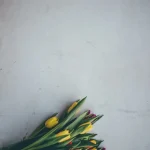 kalburabastı tatlısı tarifi oktay usta