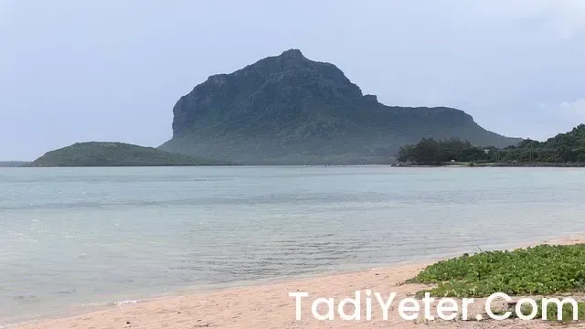 Kıyma ile pişirilmiş sebze bulmaca