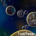 Kolonoskopi öncesi içilecek çorbalar