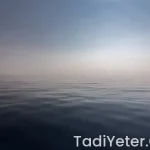 Kolonoskopi sonrası hangi çorbalar içilir