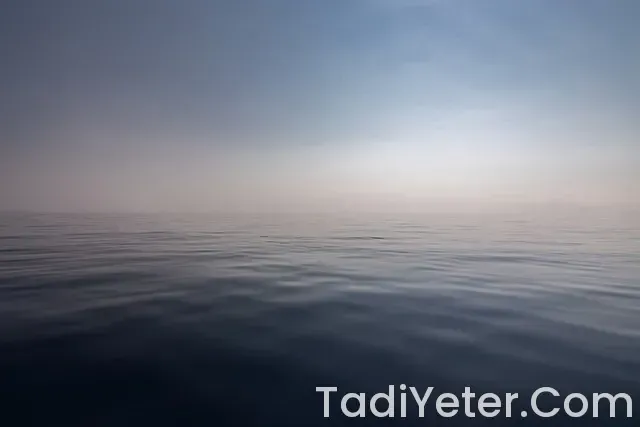 Kolonoskopi sonrası hangi çorbalar içilir