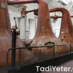 Malt içeceği faydaları