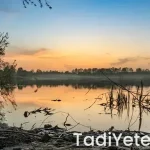 Oktay usta hazır yufkadan börek tarifleri