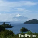 Oktay usta tatlı tarifleri kalbura bastı