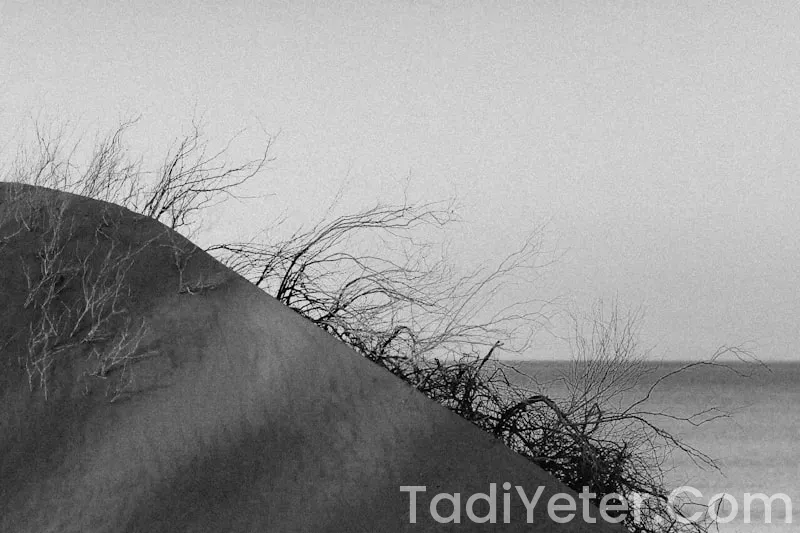 oktay usta tatlı tarifleri kalbura bastı oktay usta tatlı tarifleri kalbura bastı