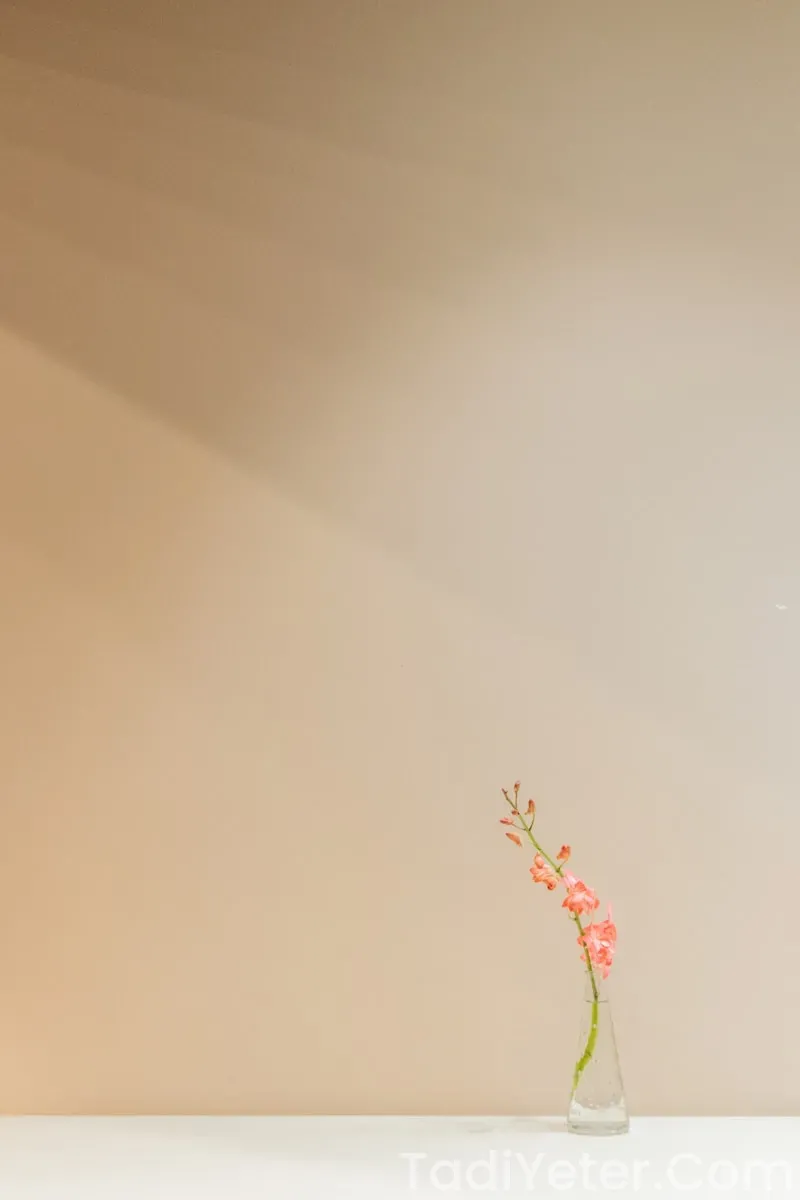 oktay usta tatlı tarifleri kalbura bastı oktay usta tatlı tarifleri kalbura bastı