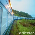 Oktay usta taze incir olgun incir reçeli tarifi