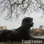 Oktay usta'dan reçel tarifi