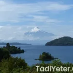 Oktay ustanın börek tarifleri