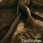 puf kabaran poğaça tarifi