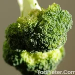 sebzeli brokoli çorbası